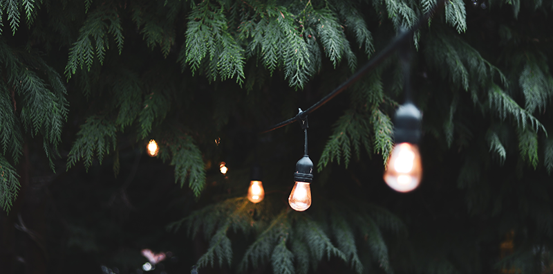 Landscape Lighting Trends for 2024