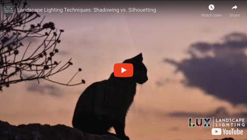 [VIDEO] Landscape Lighting Techniques: Shadowing vs. Silhouetting