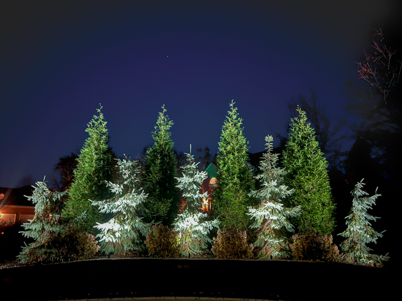 5 Commercial Landscape Lighting Tips for Property Managers