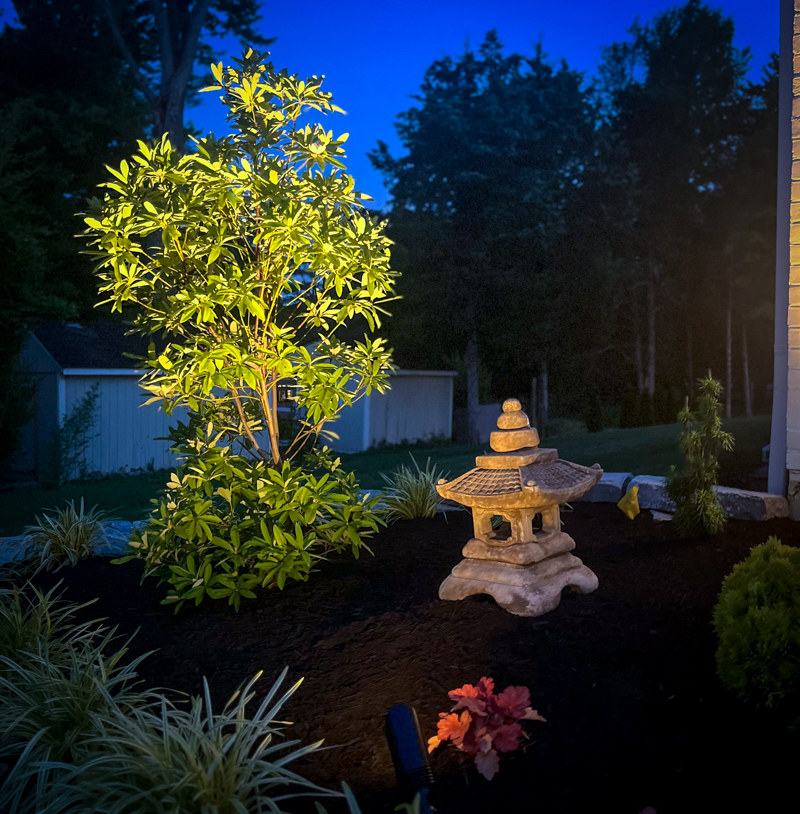 More Landscape Lighting Examples