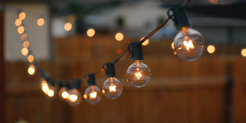 Our Favorite Landscape Lighting Applications for 2019