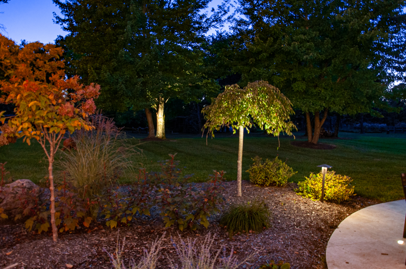 Landscape Lighting Around Pools: Create Views