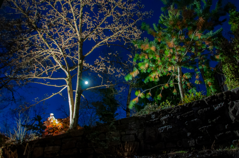 Landscape Lighting Cincinnati: Why Winter Installs Are Best