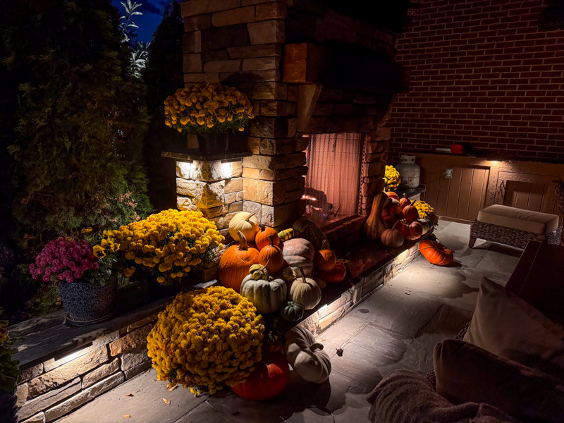 Landscape Lighting Ideas for Entertaining