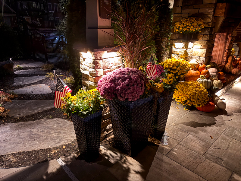 Landscape Lighting Ideas for Entertaining