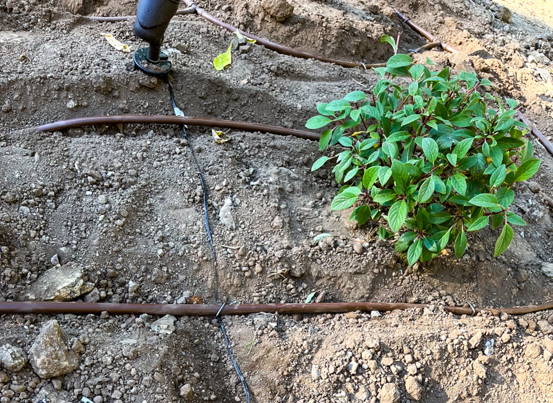 Epic Fails: Landscape Lighting Installers Let It All Hang Out