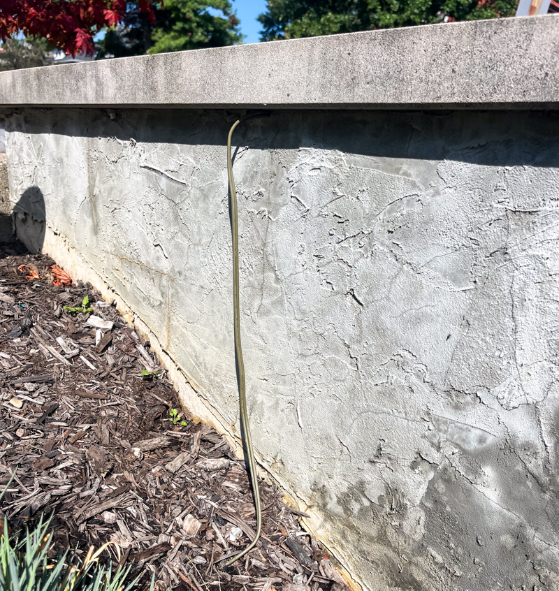 Epic Fails: Landscape Lighting Installers Let It All Hang Out