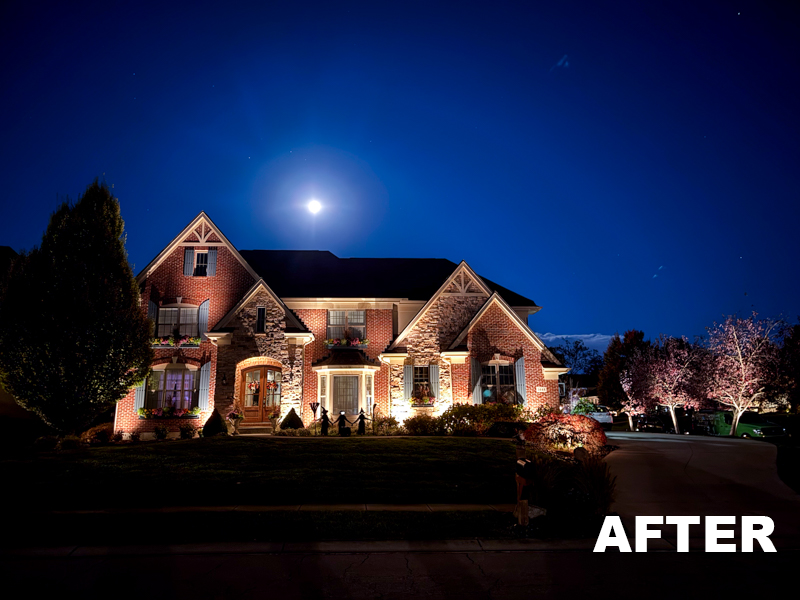 Landscape Lighting Ideas: Before & After Photos