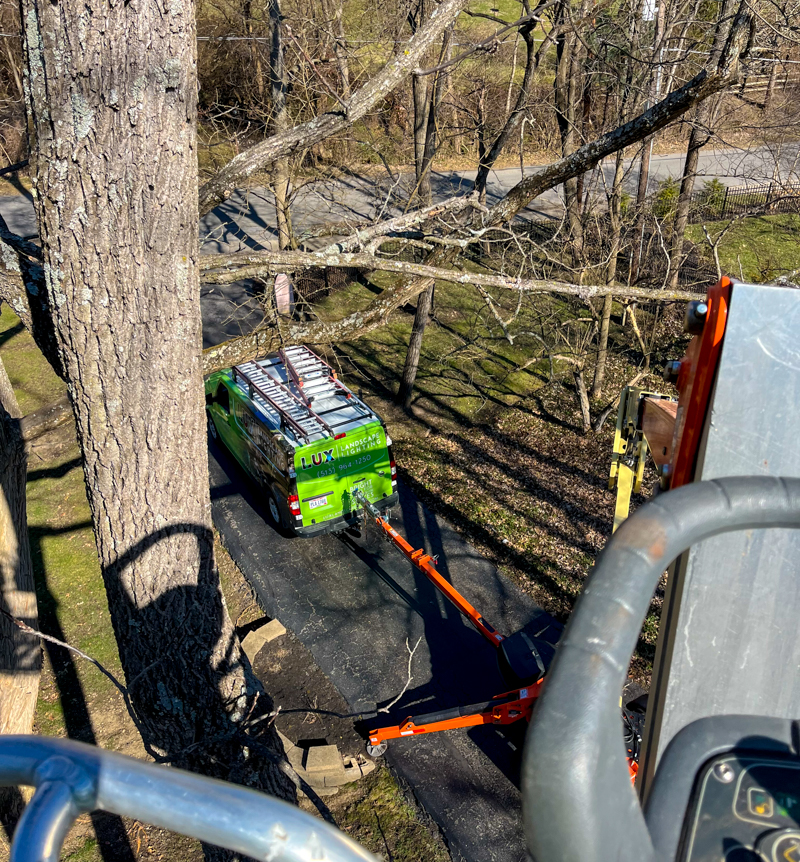 6 Common Landscape Lighting Repairs