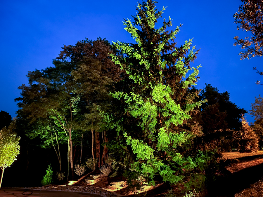Landscape Lighting System Upgrades