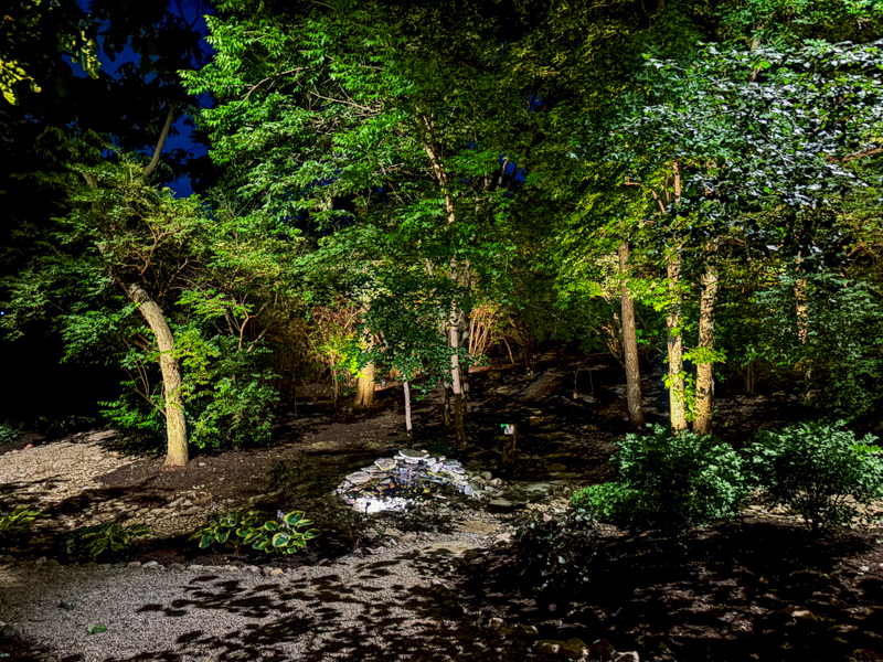 Landscape Lighting for Trees