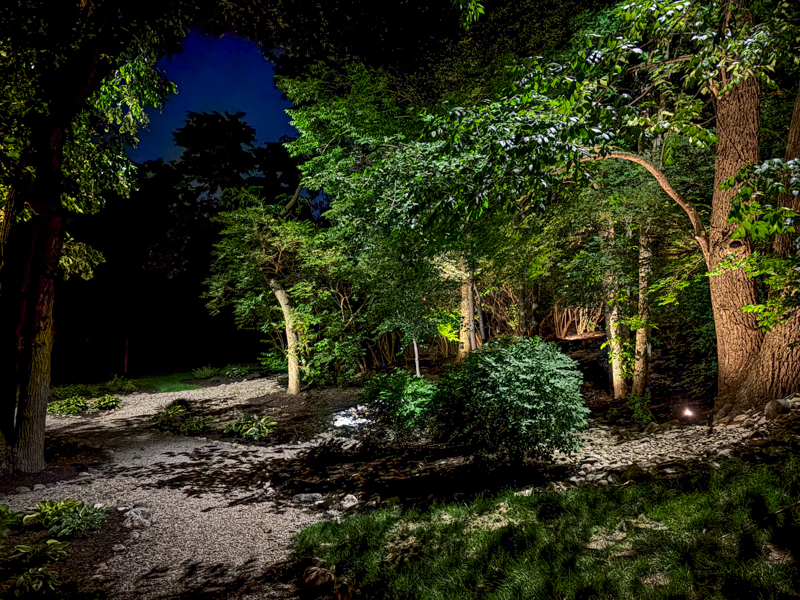 Landscape Lighting for Trees