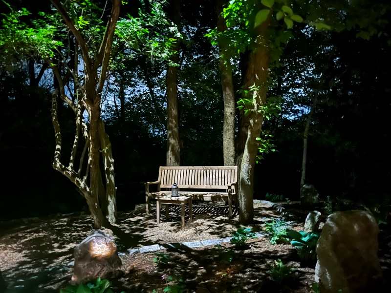 Landscape Lighting for Trees