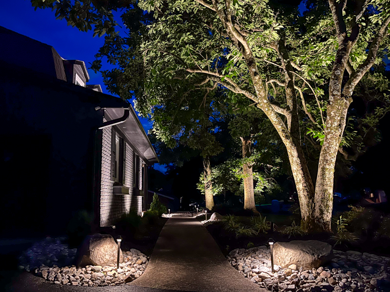 Landscape Lighting for Trees