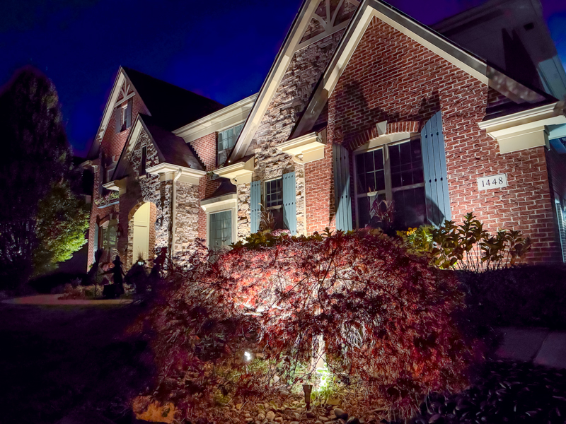 Landscape Lighting for Trees