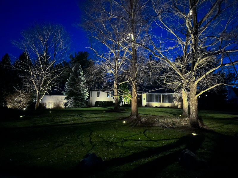 Landscape Lighting Trends for 2024