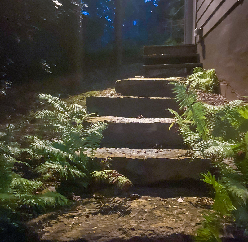 Landscape Lighting Trends for 2024