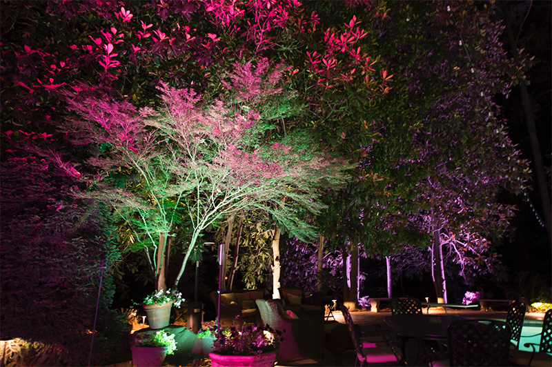 Landscape Lighting Zone Control
