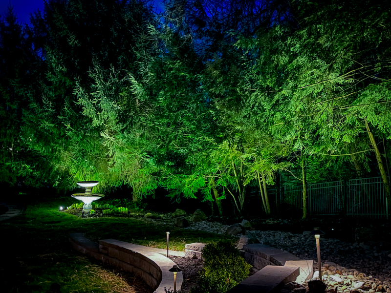 2027 Trend: Colored Landscape Lighting on Plants
