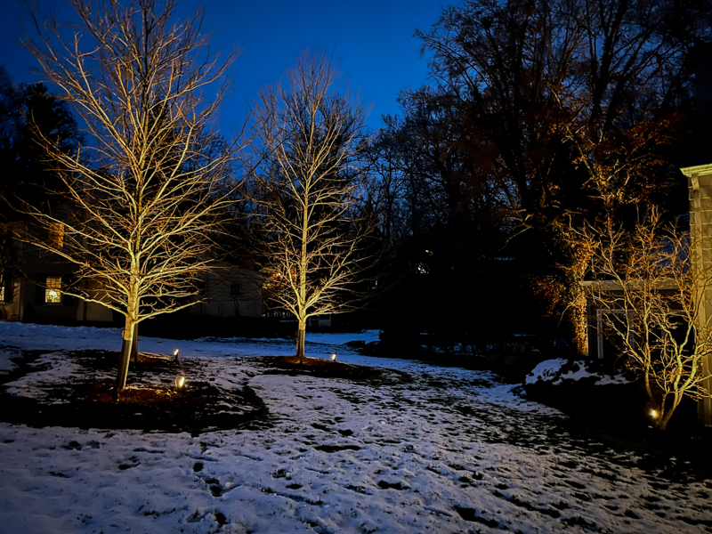 Popular Landscape Lighting Ideas