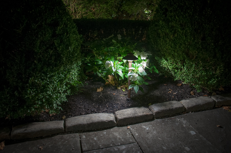 Our Most Popular Landscape Lighting Ideas