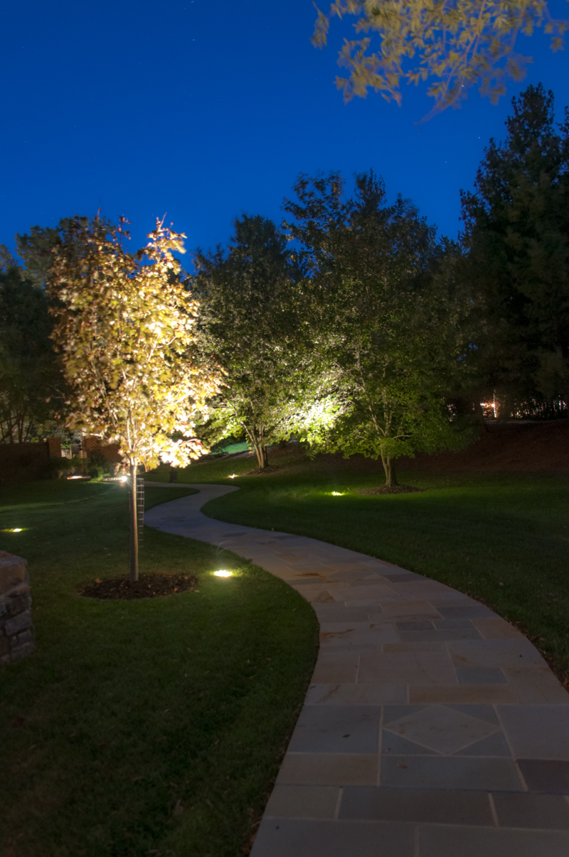 Our Most Popular Landscape Lighting Ideas