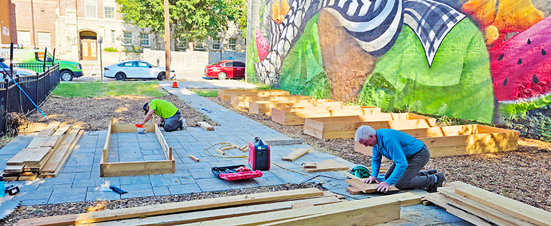 Growing Community, One Garden Bed at a Time