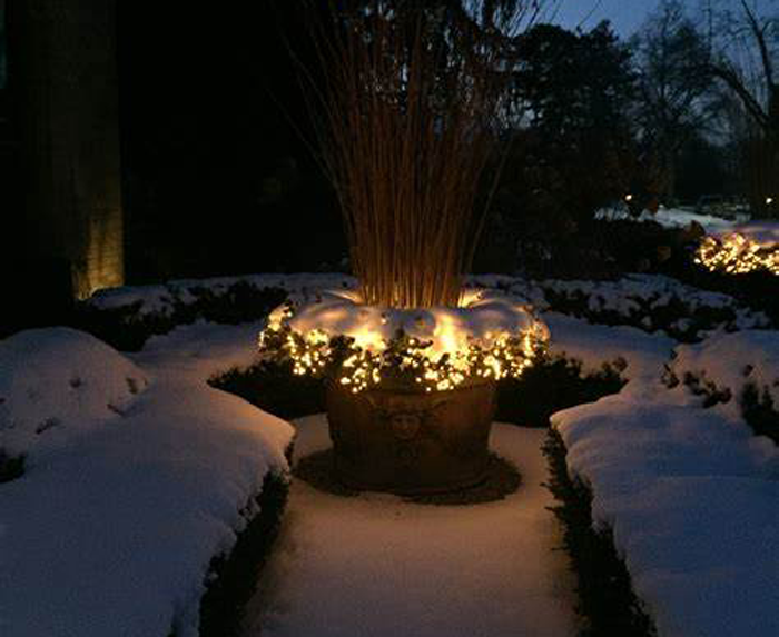 landscape lighting in snow