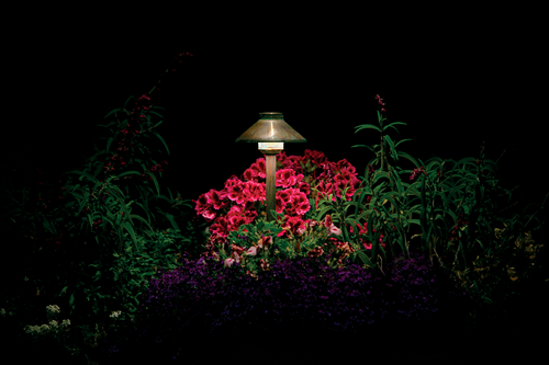 There's So Much More to Landscape Lighting than Path Lights