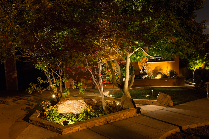 There's So Much More to Landscape Lighting than Path Lights