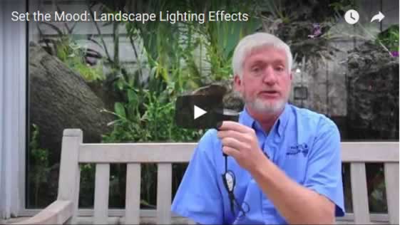 Set the Mood: Landscape Lighting Effects