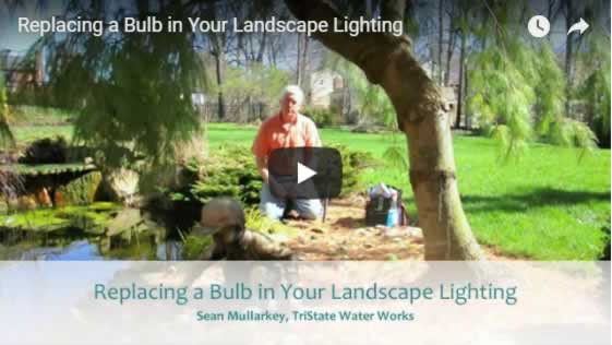 Replacing a Bulb in Your Landscape Lighting